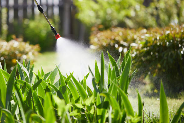 24/7 Emergency Wasp Removal experts in Hazel Green, AL