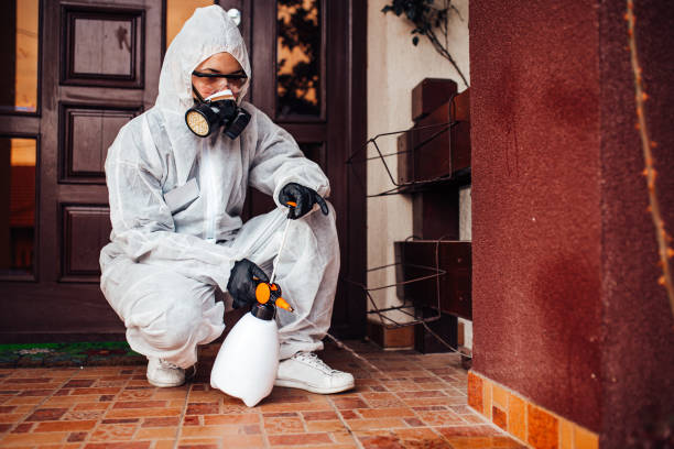 Reliable Wasp Removal contractor in Hazel Green, AL by Show Me Pest Control