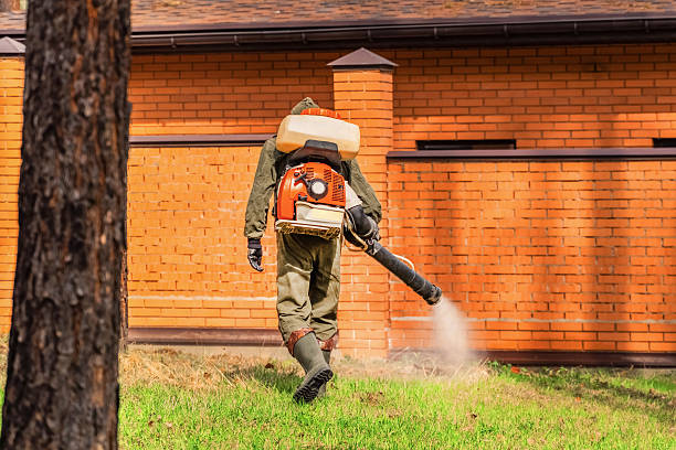 Top rated local Wasp Removal specialists in Hazel Green, AL